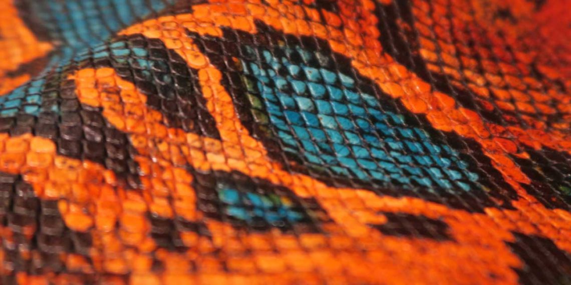 Cuir façon python modèle Elba stretch de Conceria Sirte