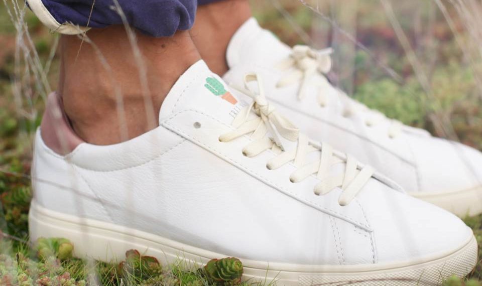 CLAE x Le Bon Marché