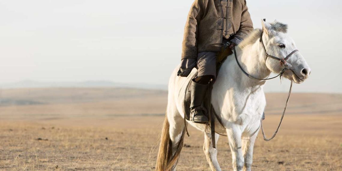Aduu Mal Mongolie cuir équin