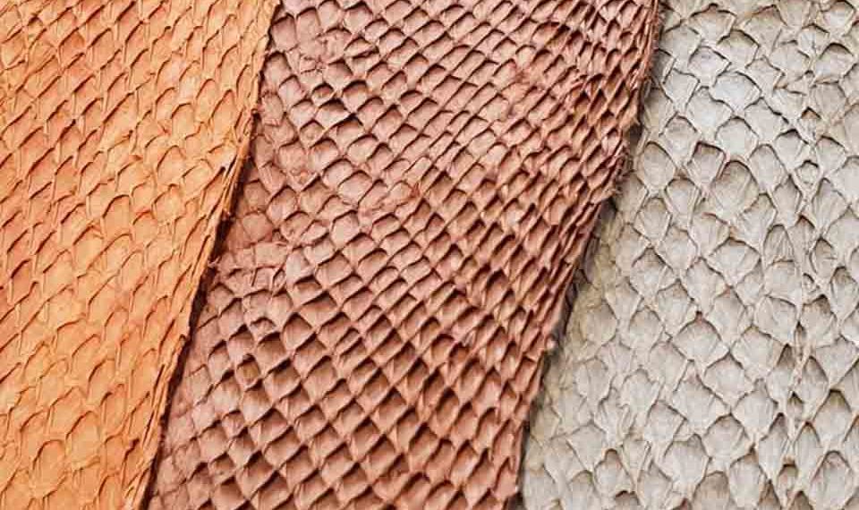 atlantic leather cuir poisson