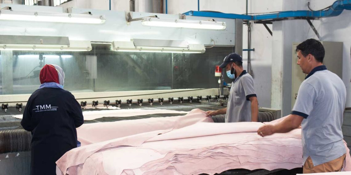 cuir tannerie megisserie maghreb usine