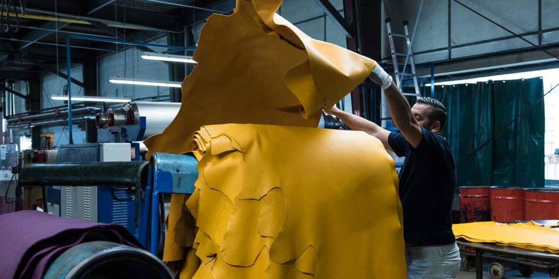 Les Tanneries Roux contrôlent la provenance des peaux et de s’assurent de leur traçabilité totale.