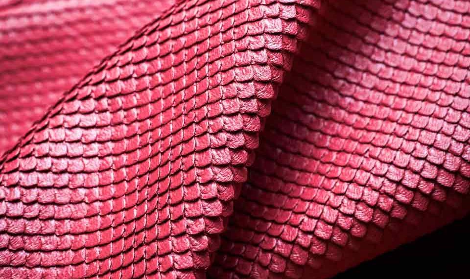 Eureka cuir écaille