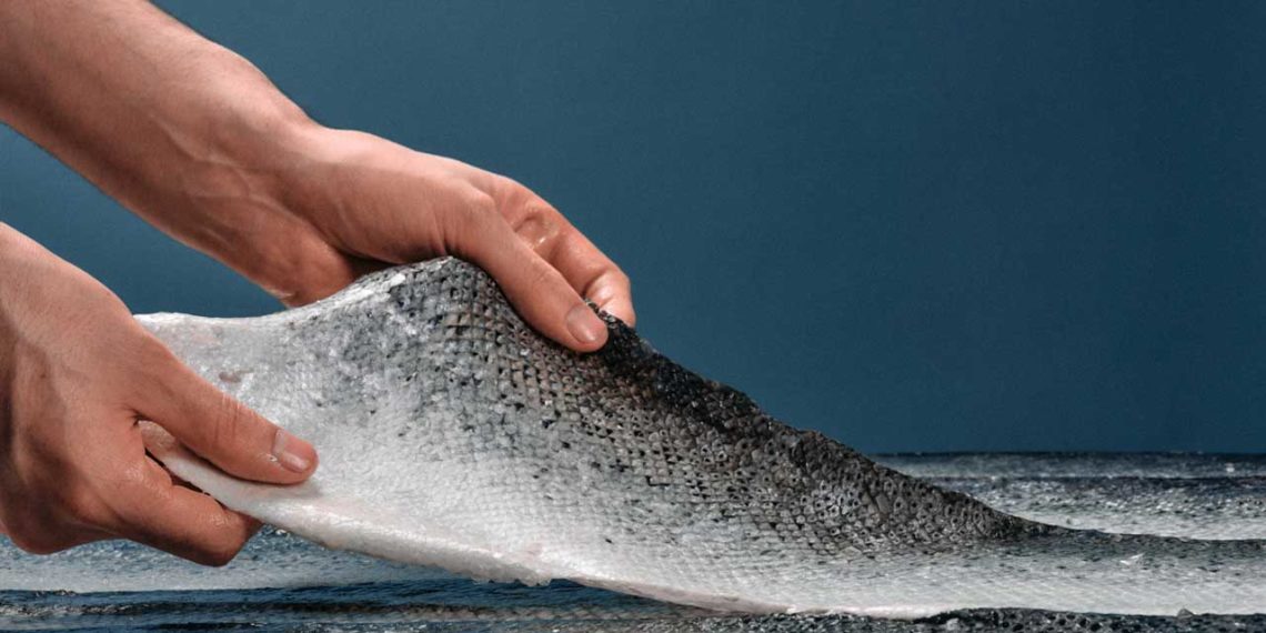 ICTYOS cuir marin France-zero-dechet-recyclage peau poisson