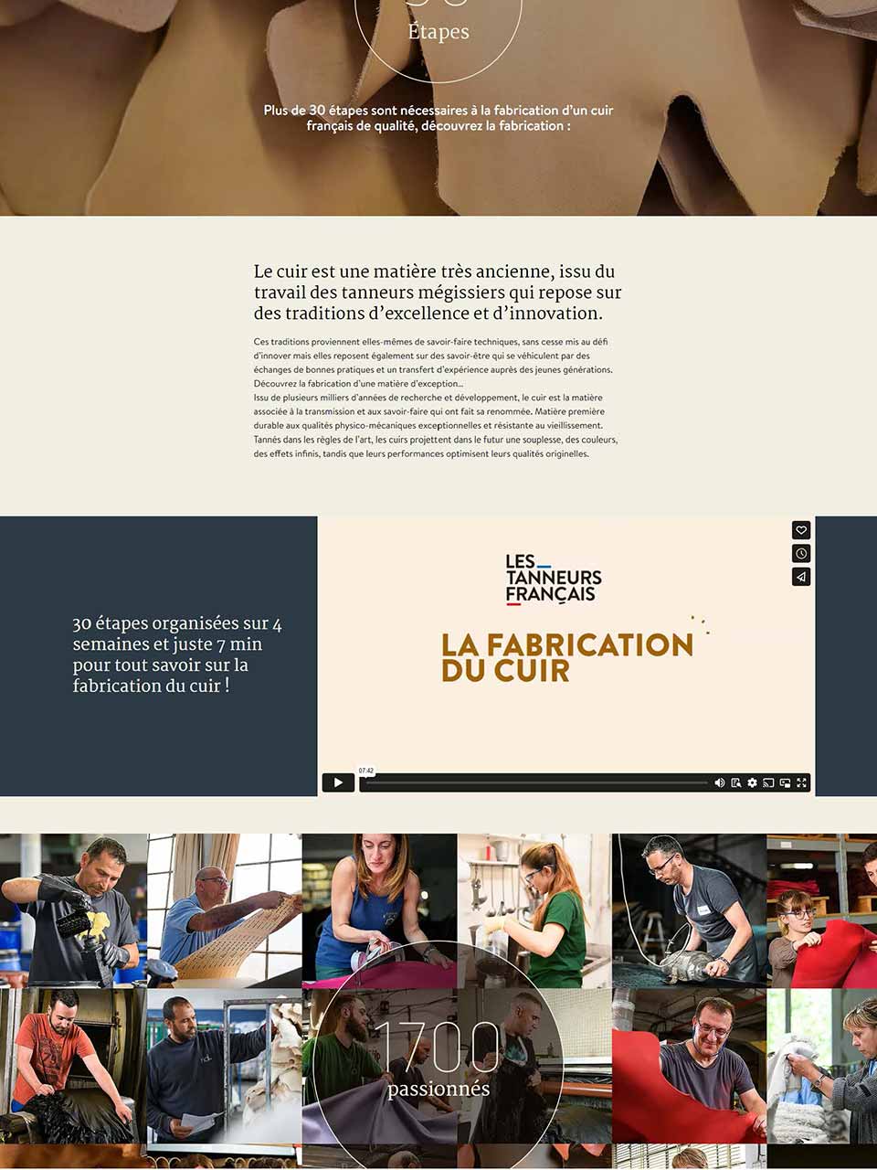 site internet lestanneursfrancais cuir motion design