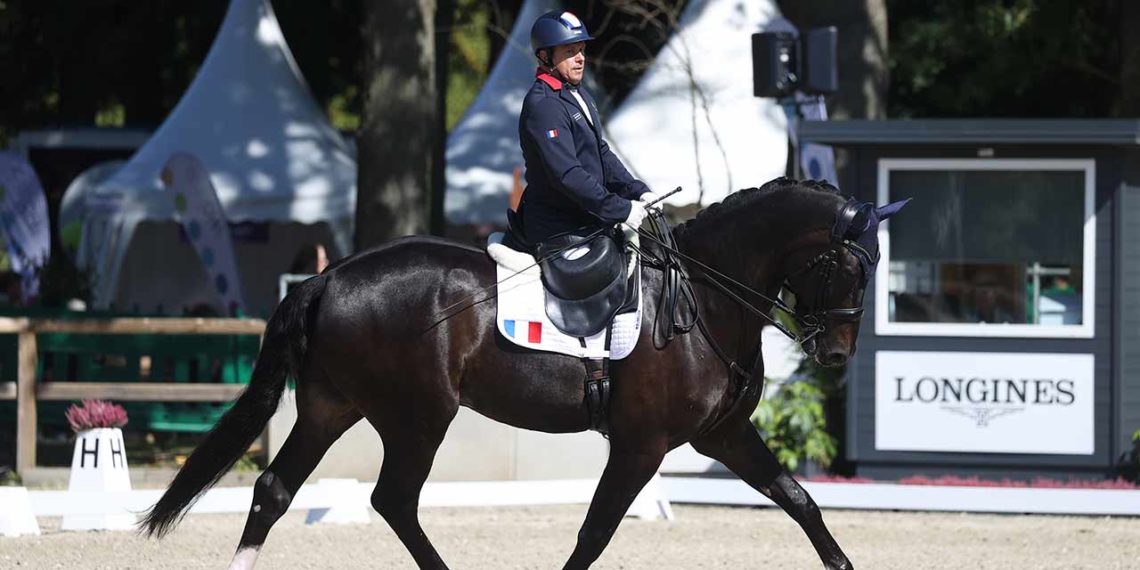 Filière Française Cuir partenaire para dressage équitation JO championnats Europe 2023