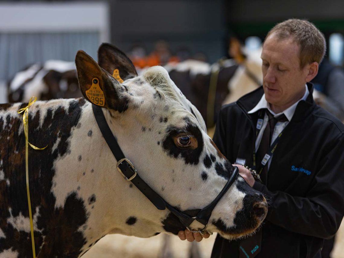 Salon International Agriculture vache filière cuir 2024
