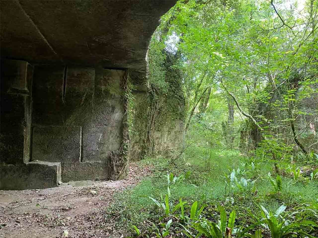 COVICO site zone natura 2000 carrières naturelles