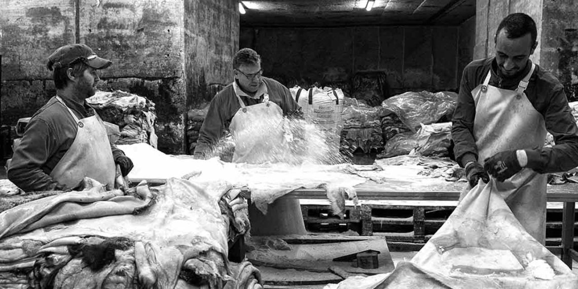savoir faire salaries covico cuirs peaux brutes françaises