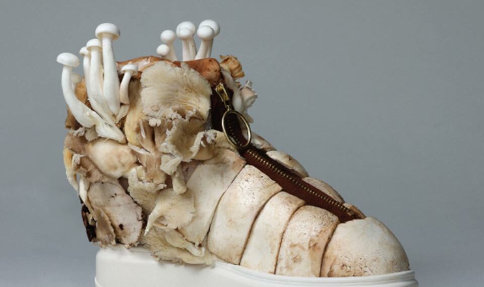 L’imitation à base de champignons est 160 fois moins résistante au déchirement que le cuir.
