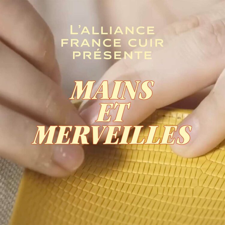 Chaque spot s’ouvre sur un générique façon cinéma : « L’Alliance France Cuir présente… Mains et merveilles ».