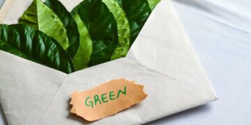 À partir du 27 septembre 2026, les allégations environnementales génériques ne pourront plus être utilisées sans preuve ou certification reconnue - Photo © Pexels.