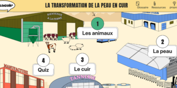La plateforme Késacuir comprend six modules, supports pédagogiques pour les enseignants.